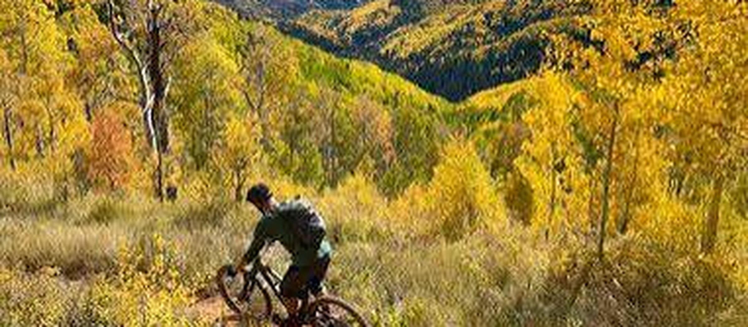 Mountain biker riding through golden aspens above Durango